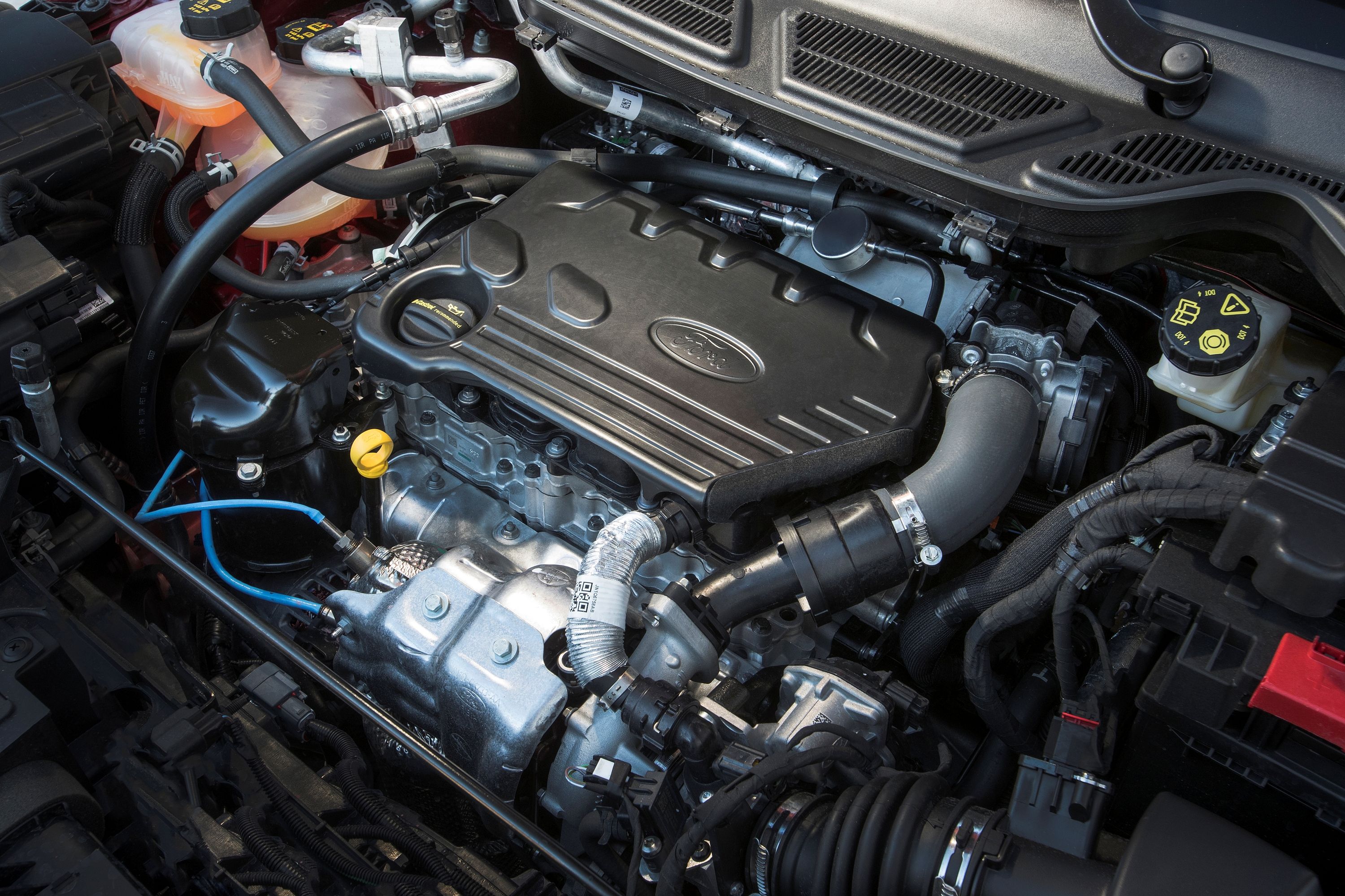 1228008 /wordpress/wp-content/uploads/gallery-images/original/1228000/0/1228008.jpg