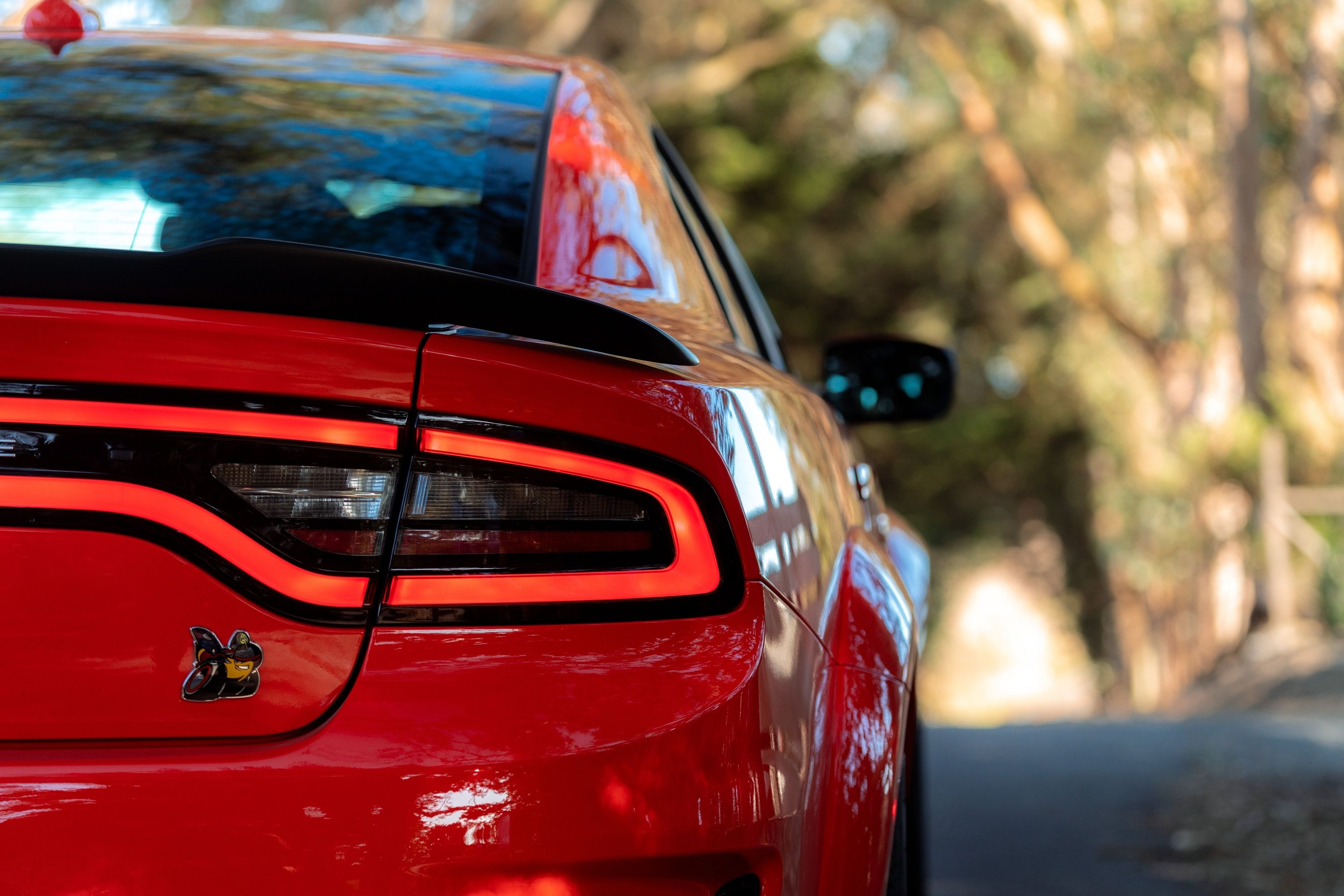 1228013 /wordpress/wp-content/uploads/gallery-images/original/1228000/0/1228013.jpg