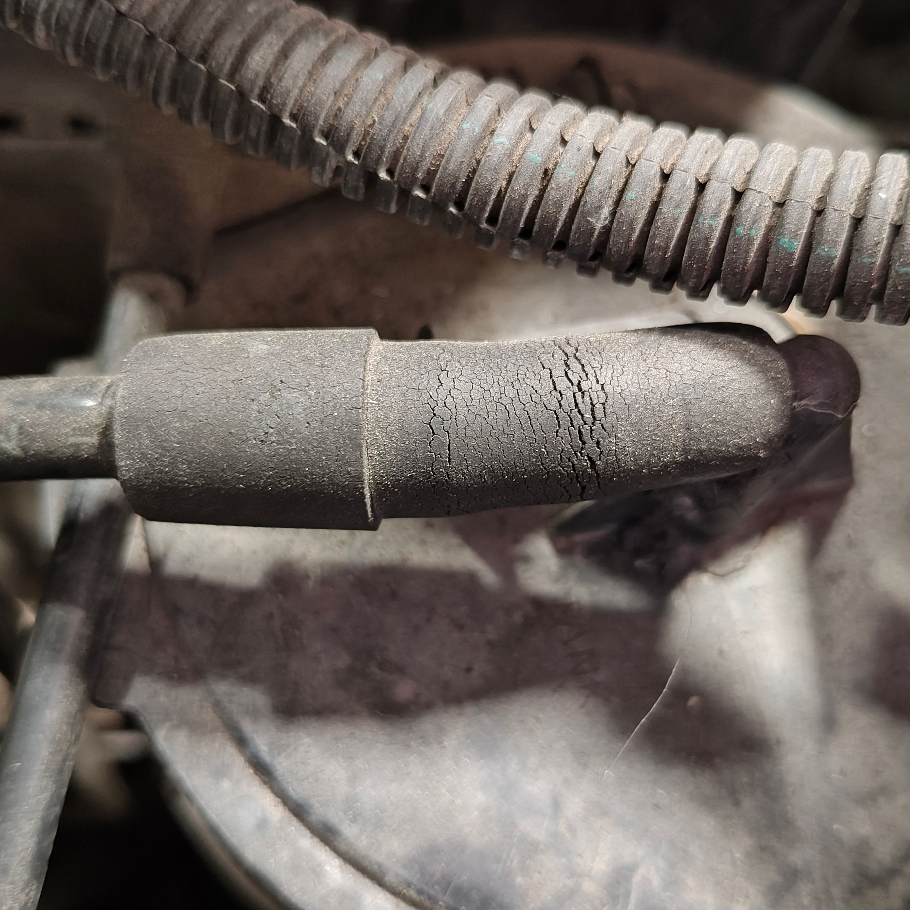 1232101 /wordpress/wp-content/uploads/gallery-images/original/1232000/100/1232101.jpg