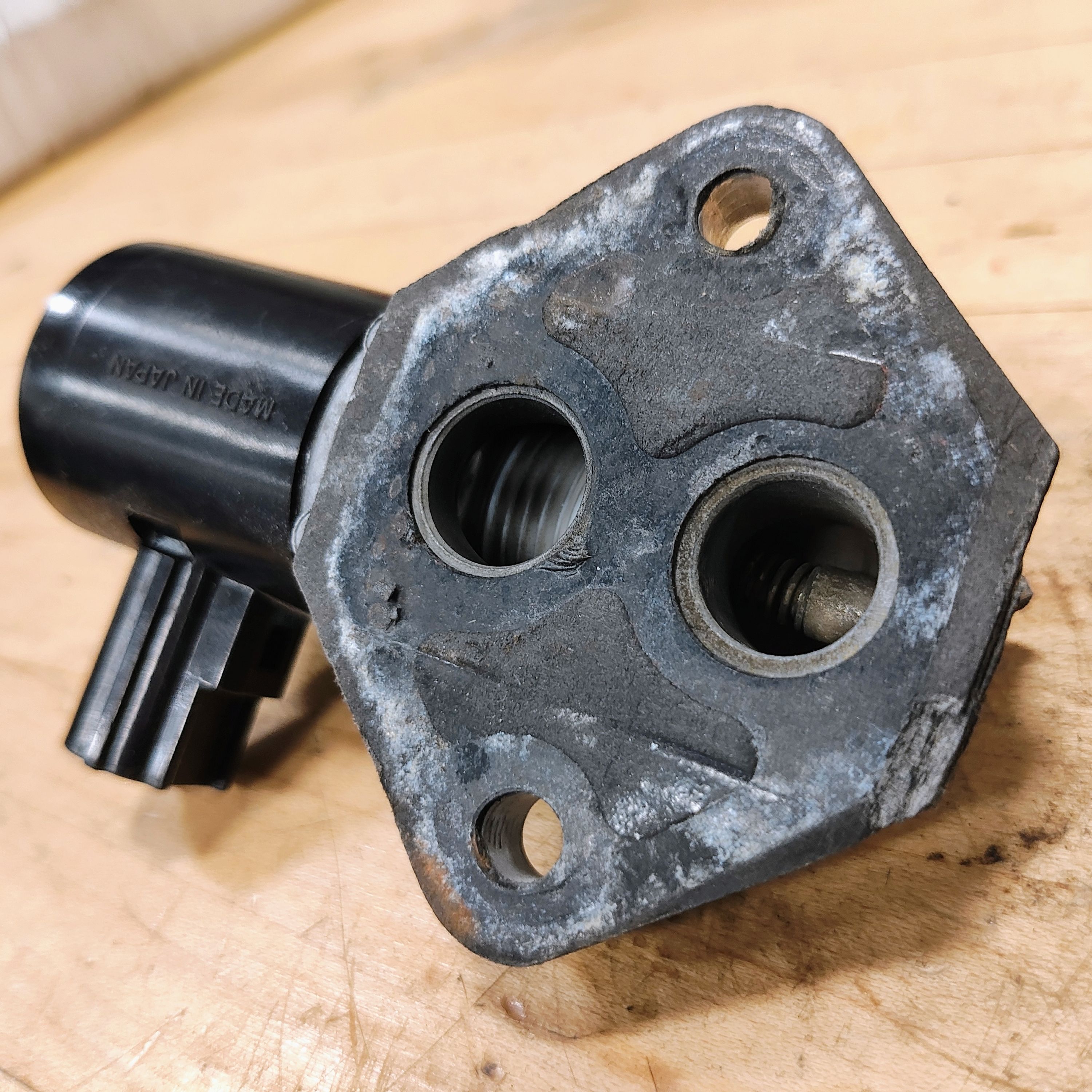 1232570 /wordpress/wp-content/uploads/gallery-images/original/1232000/500/1232570.jpg