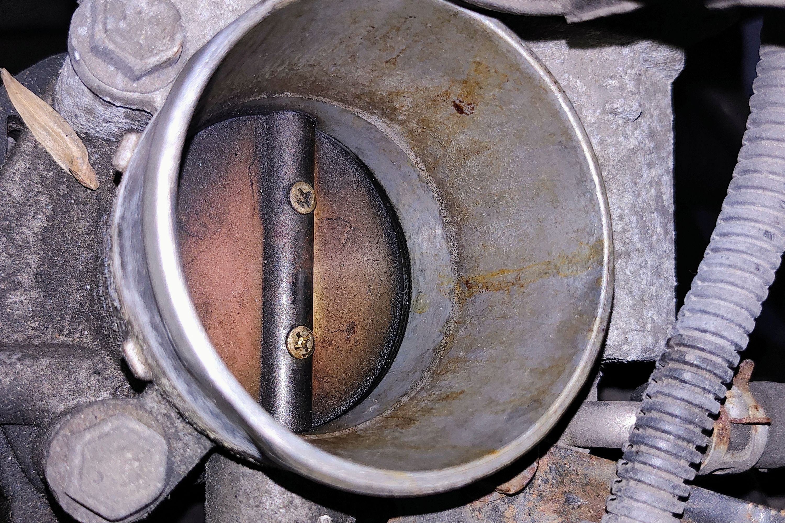 1232573 /wordpress/wp-content/uploads/gallery-images/original/1232000/500/1232573.jpg