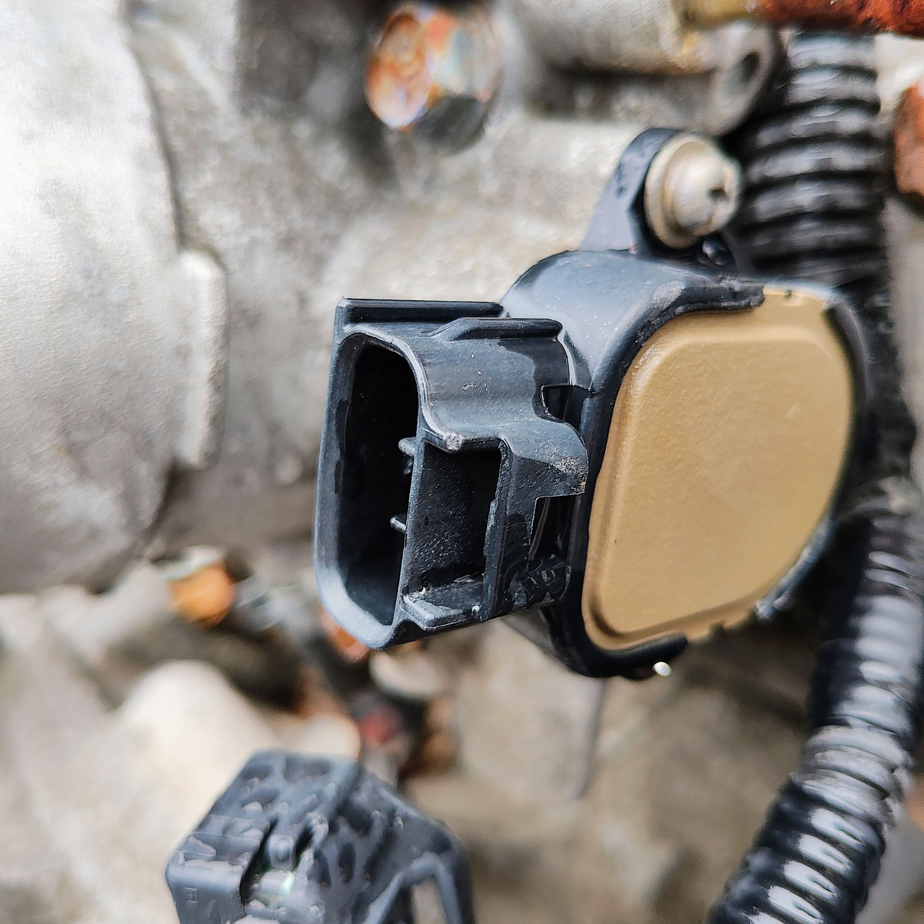 1232792 /wordpress/wp-content/uploads/gallery-images/original/1232000/700/1232792.jpg