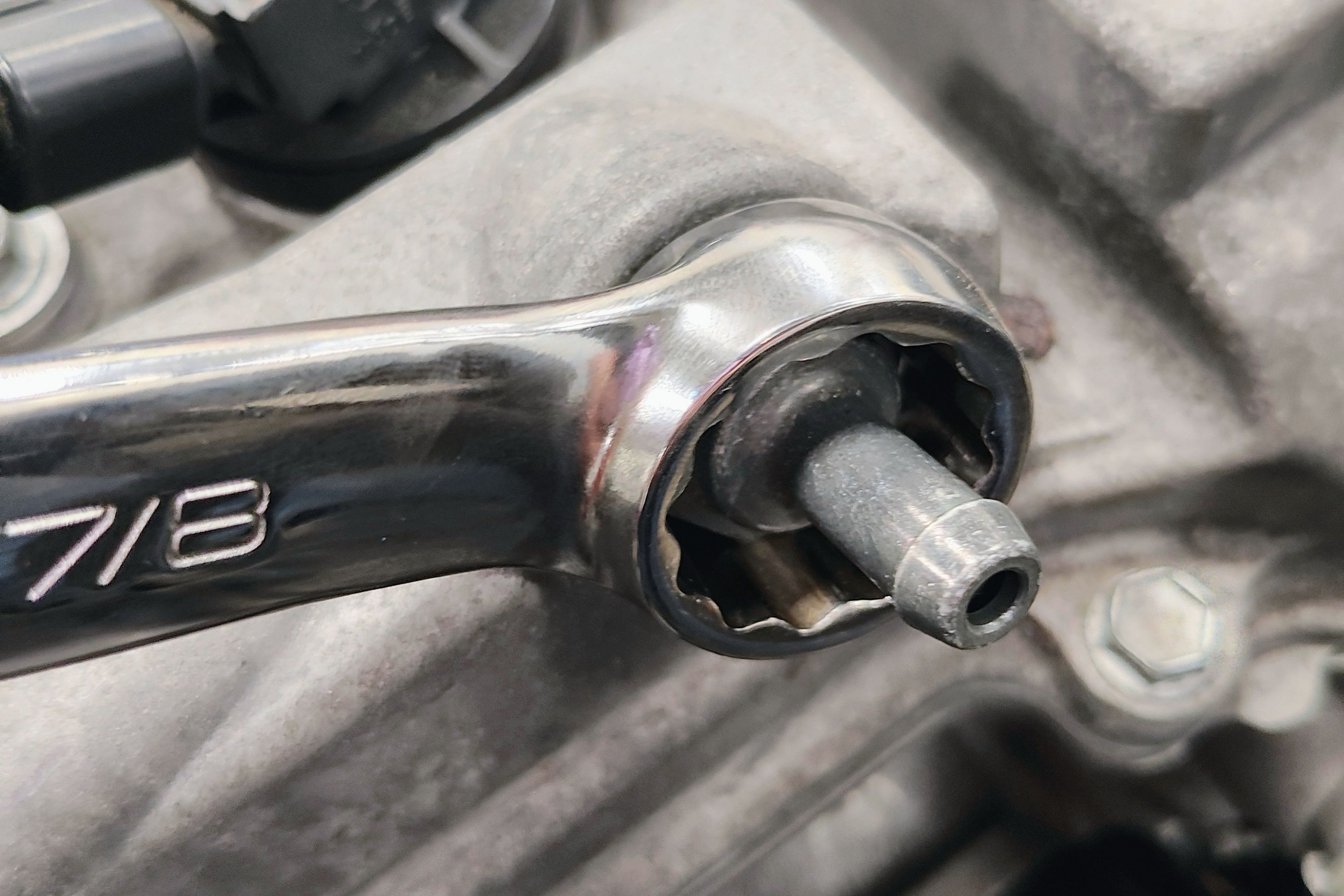 1234729 /wordpress/wp-content/uploads/gallery-images/original/1234000/700/1234729.jpg