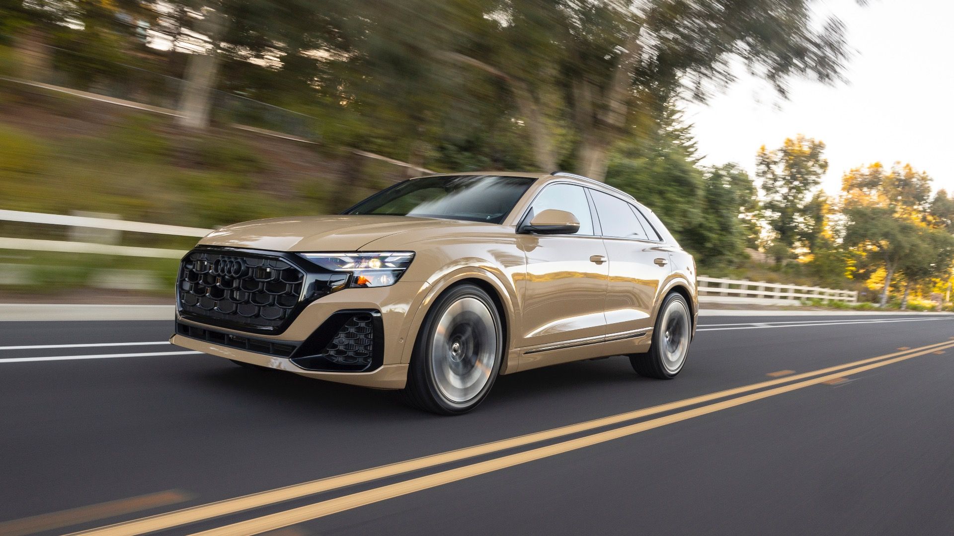 2025 Audi Q8