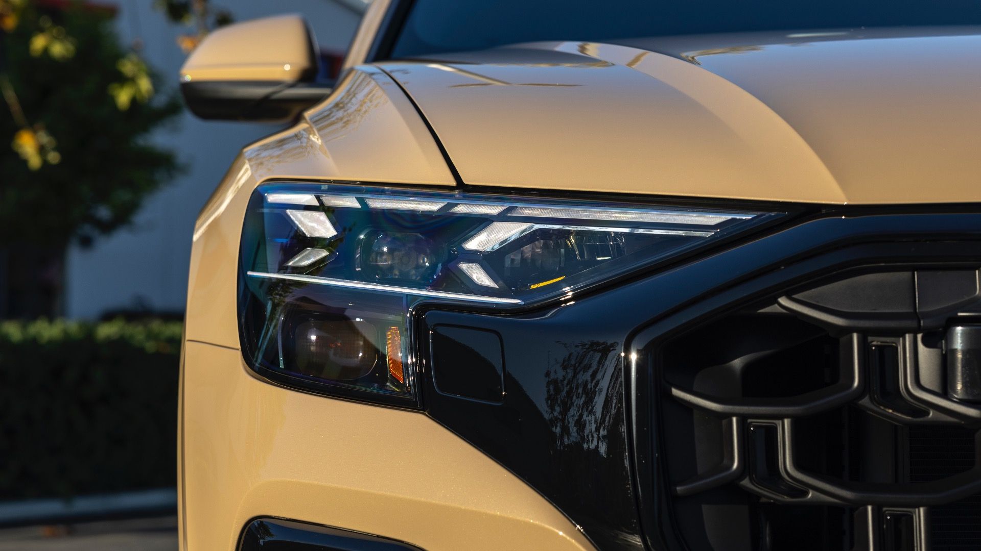 2025 Audi Q8