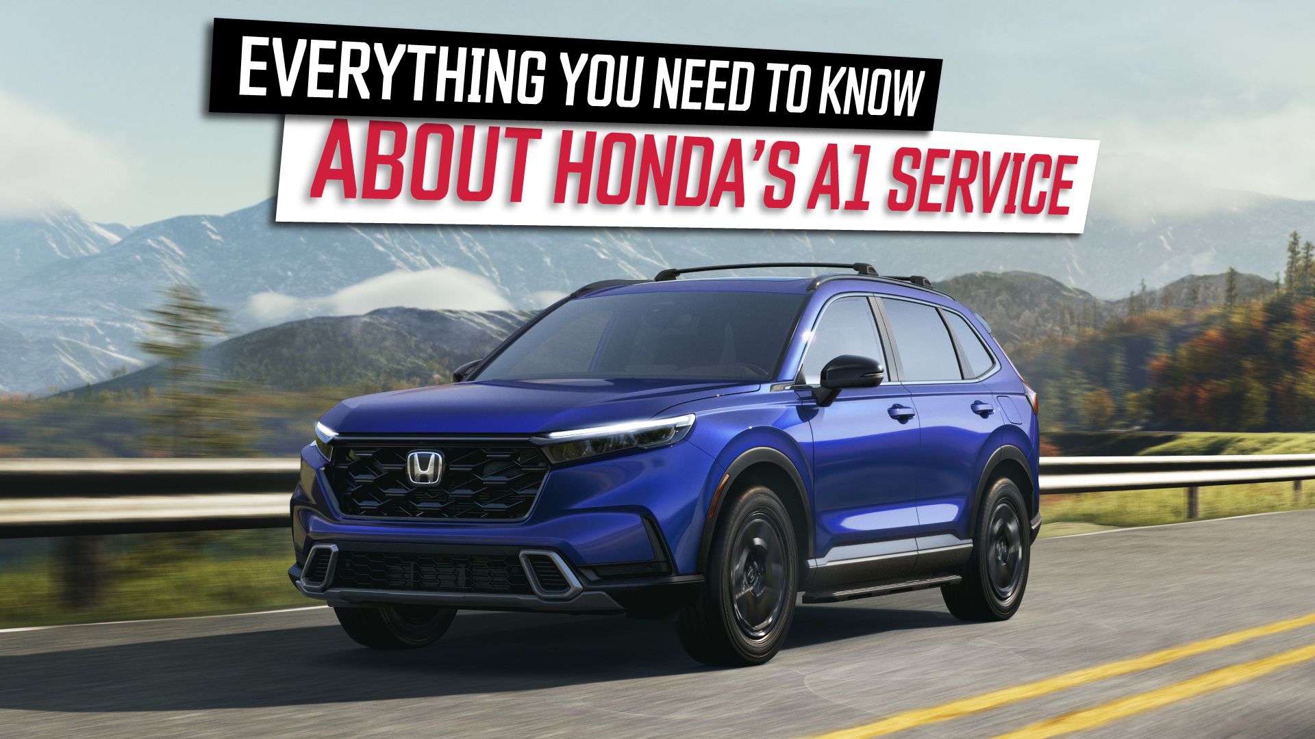 Honda-A1-Service