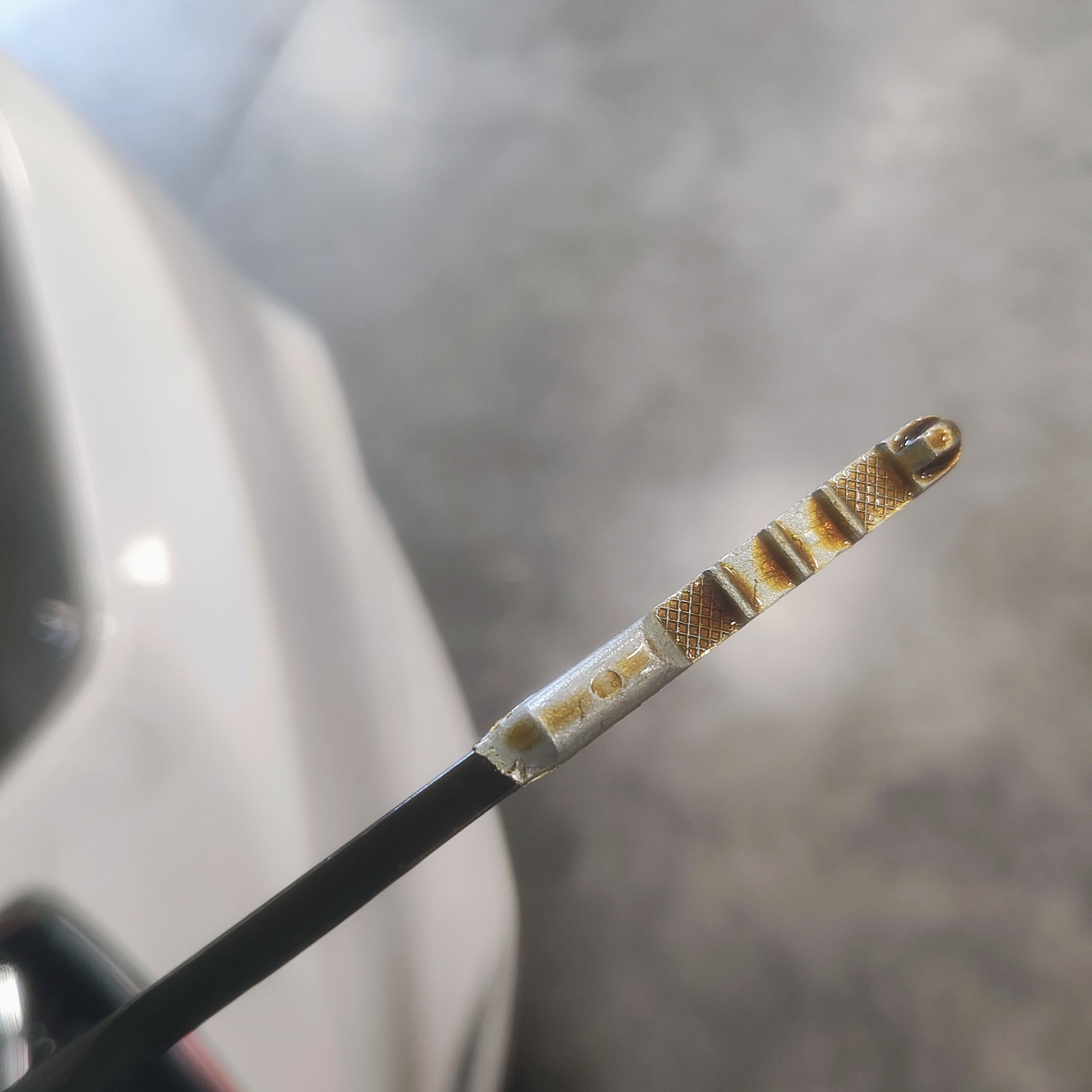 Car oil dipstick