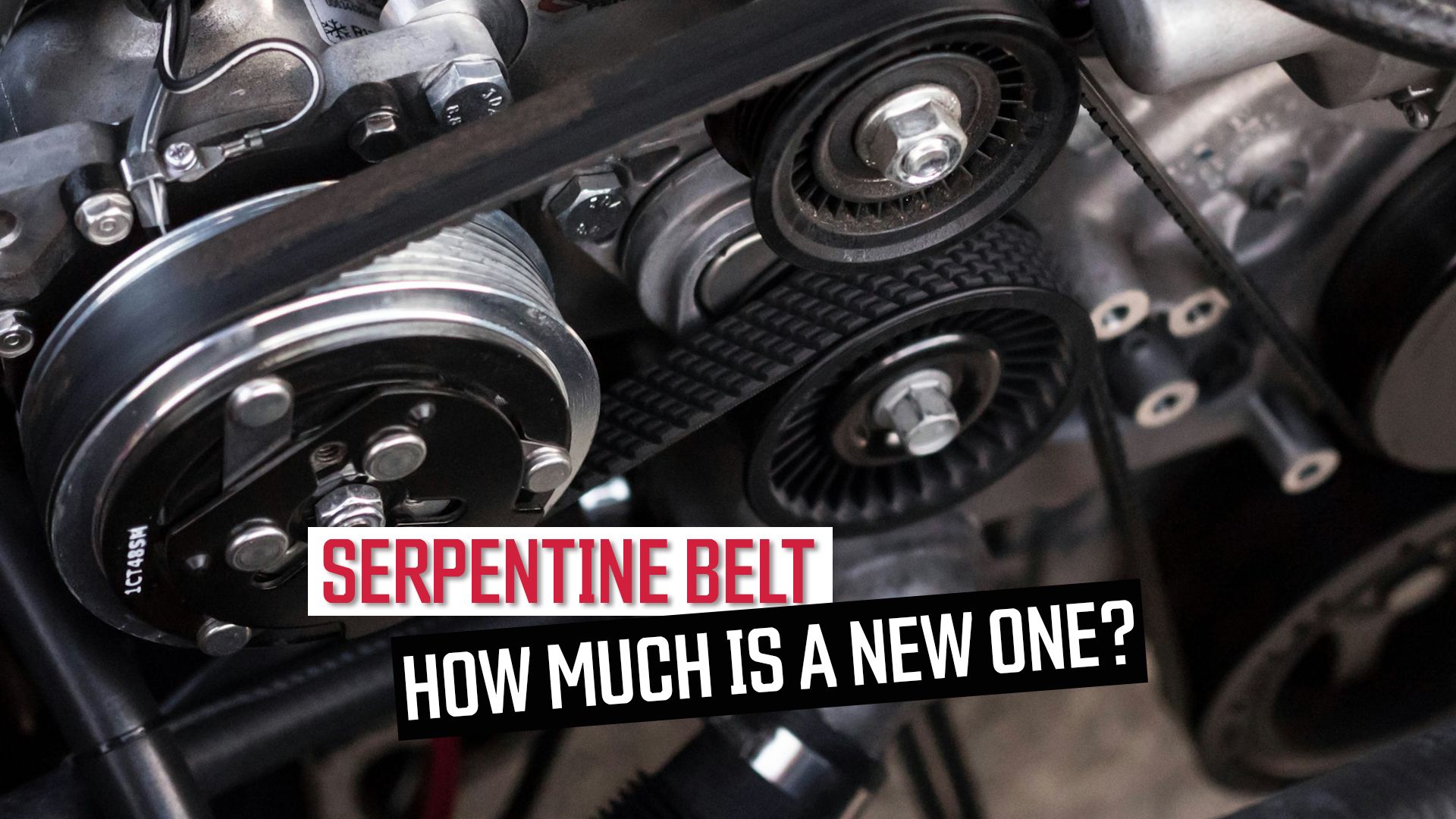 Serpentine Belt