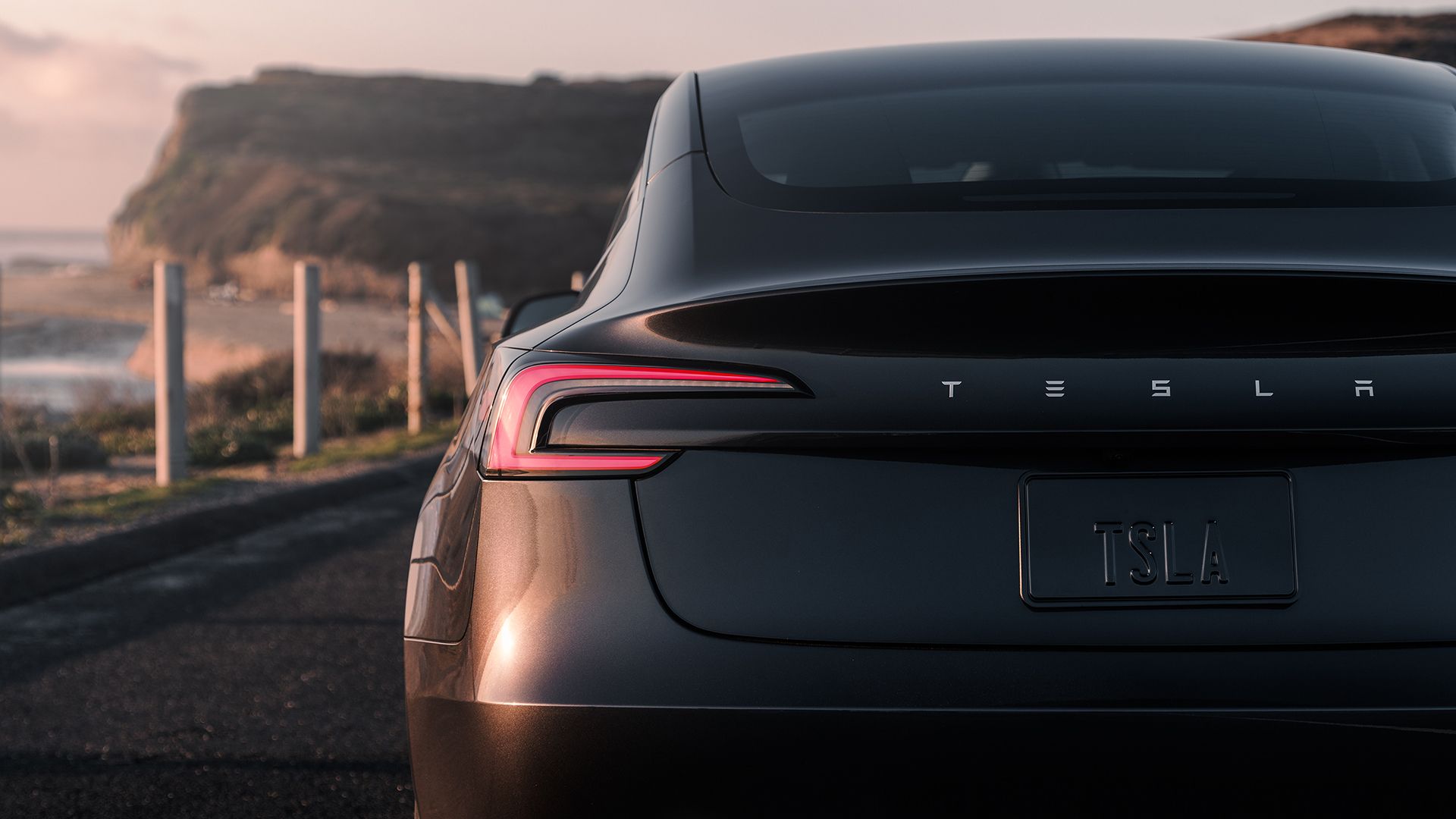 Tesla Model 3-2