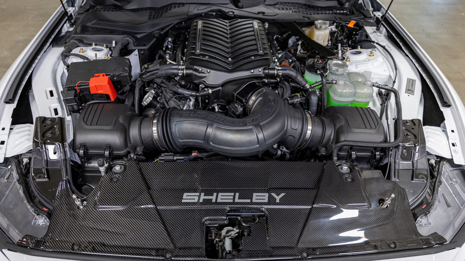 2026 Shelby Super Snake-R