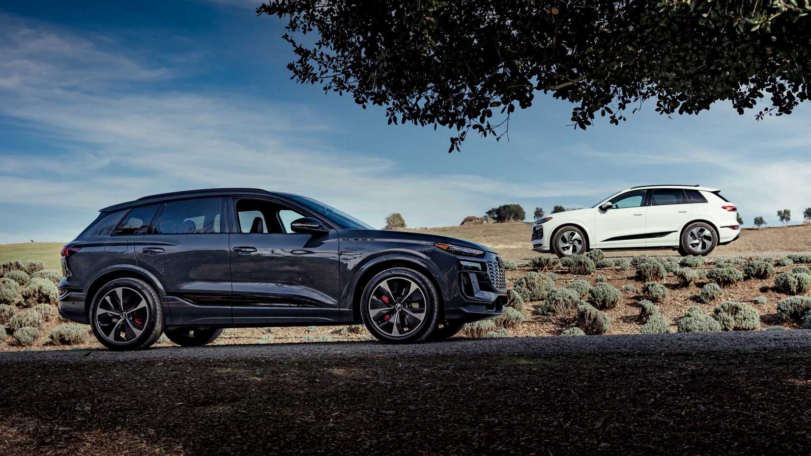 2025 Audi SQ6 quattro