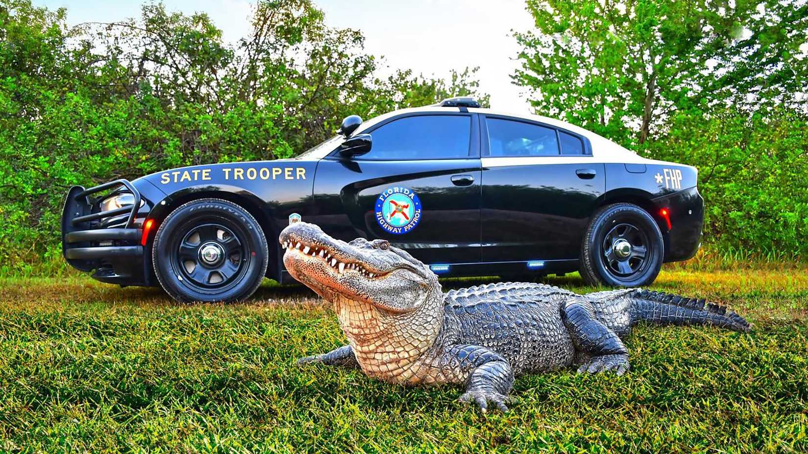 Florida Highway Patrol Cruisers (2)