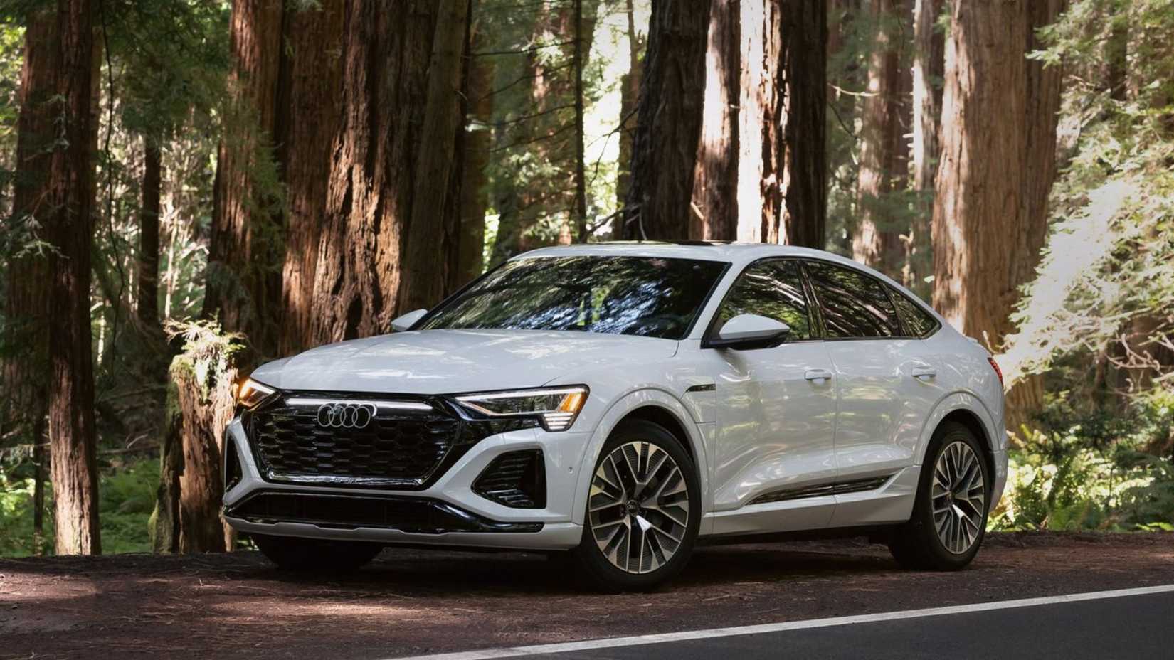 2024 - 2026 Audi Q8 Sportback e-tron (25)