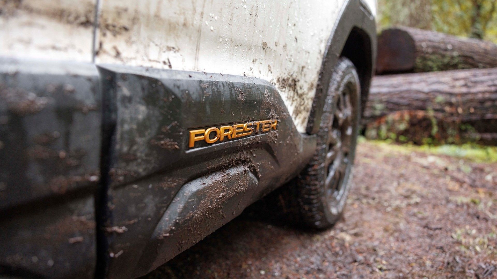 26TDI_FORWpl022
