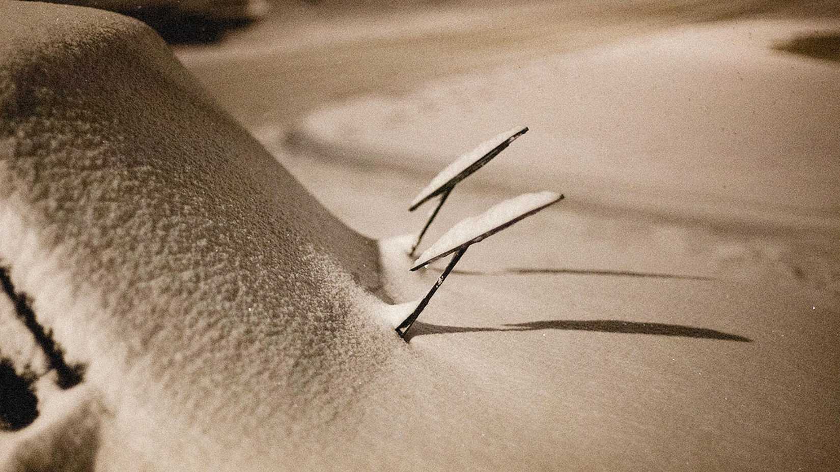 pexels-alexeydemidov-9507063 pexels-alexeydemidov-9507063